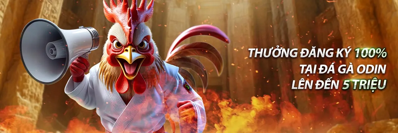 Ứng dụng c54777 trên điện thoại di động, trải nghiệm cá cược đỉnh cao